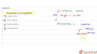 Trochlear nerve supplies [upl. by Ris]