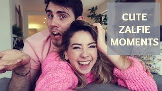 Cute Zalfie moments [upl. by Bibby]