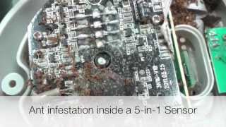 AcuRite 5in1 Sensor Maintenance [upl. by Ahsatel]