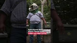 Apicultores mexicanos ahora tienen que lidiar con miel China nmas shorts [upl. by Asaret]