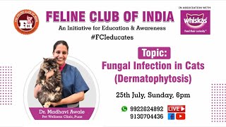 Webinar 24 Fungal Infection in Cats Dermatophytosis [upl. by Christabelle681]