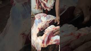 Yummy meat amp bone Cutting Skills By Bangladesh Dhaka Market shorts trending beef food [upl. by Urbannai]