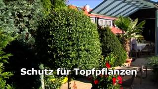 Gartentipps Winter  der Dauchenbeck Blatt und Blüte Tipp [upl. by Nolrev466]