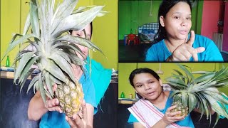 মাএ ২ মিনিটত আনাৰস সহজতে কাটাৰ ওপাই  Benefits of Eating Pineapple 🍍assam [upl. by Litsyrk362]