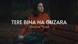 Tera Bina Na Guzara E SlowedReverb  Josh Brar  Morning Vibes [upl. by Price]