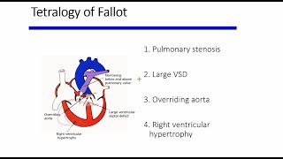 Cyanotic congenital heart diseases [upl. by Riddle]