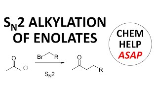 alkylation of enolates in an SN2 reaction [upl. by Losyram]