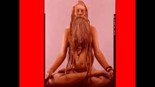 Bhagavan Das  Shiva Shambho [upl. by Semele]