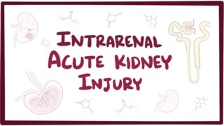 Intrarenal acute kidney injury acute renal failure  causes symptoms amp pathology [upl. by Thain]