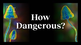 The real risks of psychedelics explained by an expert  Dr Matthew Johnson [upl. by Adnarym]