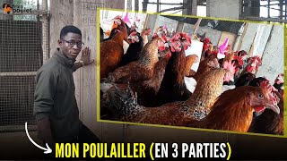 jai DIVISE mon POULAILLER en 3 parties POUR RENTABILISER mon élevage du poulet local en Afrique [upl. by Llamaj]