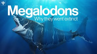 The Truth Behind Why Megalodon Went Extinct  Encyclopaedia Britannica [upl. by Nickie]