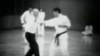 Taikiken Yi Quan Documentary [upl. by Onfre]