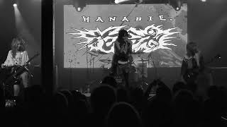 HANABIE live in PIERES [upl. by Onit]