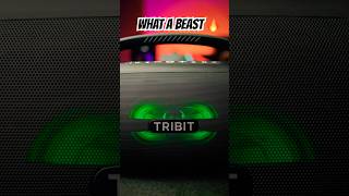 Tribit StormBox Blast 2 SOUND TESTSCARY GOOD 🔥 [upl. by Anitsyrc]