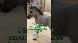 😂😂 schleich horses unboxing schleichhorses models modelhorses horse [upl. by Mathews1]