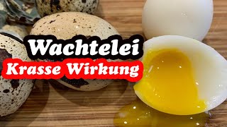 Wirkung von Wachteleiern  gesund und lecker sowieso [upl. by Airrej]