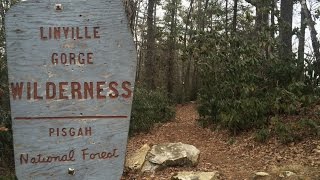 Linville Gorge day hike  Cabin Tr  LGT  Bynum Bluff [upl. by Cline]