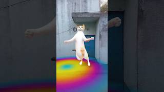 Only cat fun danceviralvideo cartoonfunnycomedy viralvidodancecomedycartoncarttonautomobile [upl. by Anilrac]