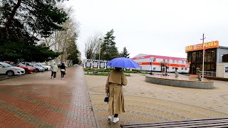 4K Korenovsk Virtual Walking Tour Krasnodar Krai Russia  Walking in the Rain [upl. by Assirol]