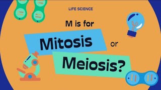 The Mitosis amp Meiosis cellcycle ytshorts neet biologyeducation [upl. by Ocer921]