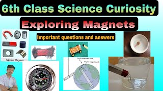 EXPLORING MAGNETS 6th class science curiosity important questions and answerssamyans academy [upl. by Gannes]