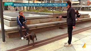 Regole e museruole per i cani pericolosi [upl. by Carrol]