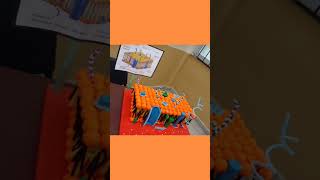 cell membrane mode fluid mosaic model cell membrane structure [upl. by Doughty950]