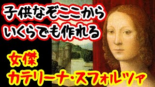 【ゆっくり解説】ルネサンス最強の女・カテリーナ・スフォルツァ【歴史解説】 [upl. by Tiebold]