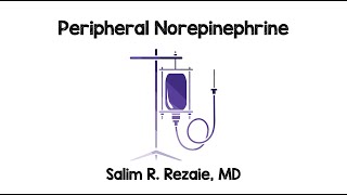 Peripheral Norepinephrine [upl. by Suivatram]