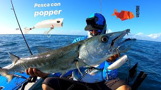 Pescando con Popper  Tarpon y Barracuda [upl. by Danczyk]