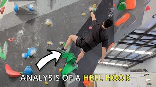 Physio Analysis of Heel Hooks  Injuries  Exercises [upl. by Ardelis]