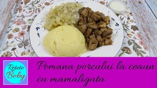 Pomana porcului la ceaun cu mamaliguta si salata de varza murata [upl. by Otte]