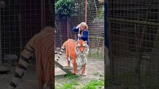 This woman became bestfriends with the tiger [upl. by Castorina]