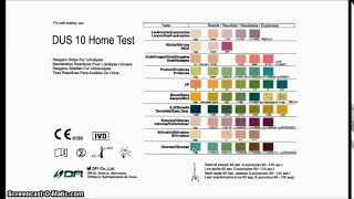 Test for Liver Health with a Urinalysis Test Strip [upl. by Naugan]