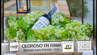 Así es el vino Oloroso en Rama DO Jerez [upl. by Bertsche]