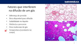 MÓDULO 1 FUNÇÕES BIOLÓGICAS Hematose e transporte de gases [upl. by Donella]