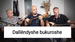 DALLENDYSHE BUKUROSHE Instrumentale Sh Kafexholli [upl. by Brunella250]