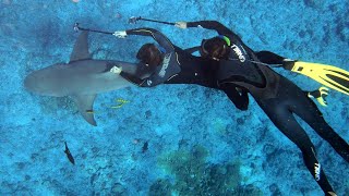 Lo que querías saber sobre biología marina 🌊 [upl. by Franzen]