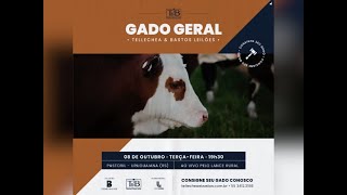 Remate Gado Geral Tellechea e Bastos [upl. by Edmanda]