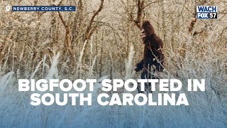 Bigfoot Sighting In South Carolina Sparks New Investigation By Animal Planet Host [upl. by Lat]