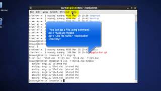 zip  Compress a directory in Linux  TechwithGuru [upl. by Senga]