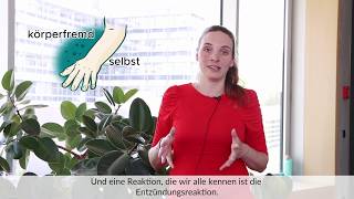 CIBSS Basics Was ist eine Entzündungsreaktion JunProf Dr Katrin Kierdorf [upl. by Avery]