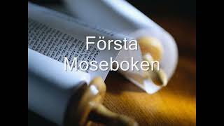 1 Swedish Ljudbibel Gamla testamentetFörsta Moseboken [upl. by Christa965]