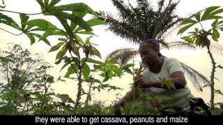 Uniting climate change adaptation and mitigation in the Congo Basin [upl. by Rekrap]