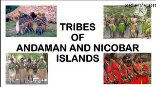 tribes of andaman and nicobar islands project on tribes of andaman and nicobar  andaman amp nicobar [upl. by Eadas16]