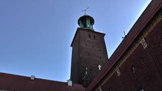 Stockholms Stadshus The Stockholm City Hall [upl. by Robenia209]