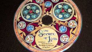 The Secret of Kells Album T7 [upl. by Greabe]