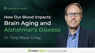 How Our Blood Impacts Brain Aging  Alzheimers Disease with Dr Tony WyssCoray [upl. by Marka]