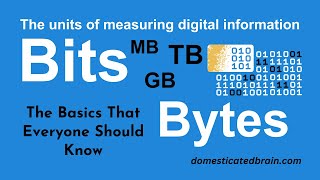 The Units of Measuring Digital Information Bits and Bytes [upl. by Jourdain279]